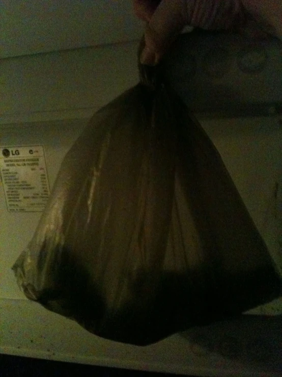 a bag full of garbage is hanging on the wall