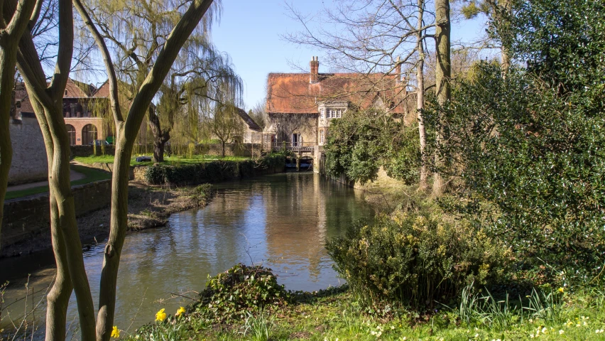 a river with trees surrounding a city