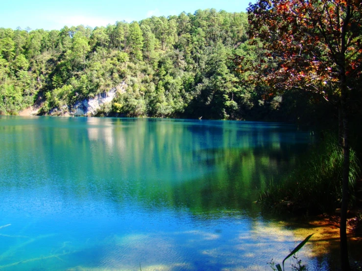a blue lake in the middle of an forest
