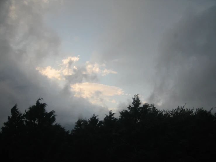 the silhouette of trees against an overcast sky