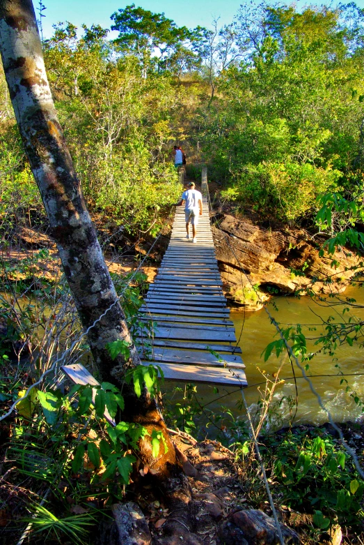 man walking across a small wooden bridge in the jungle