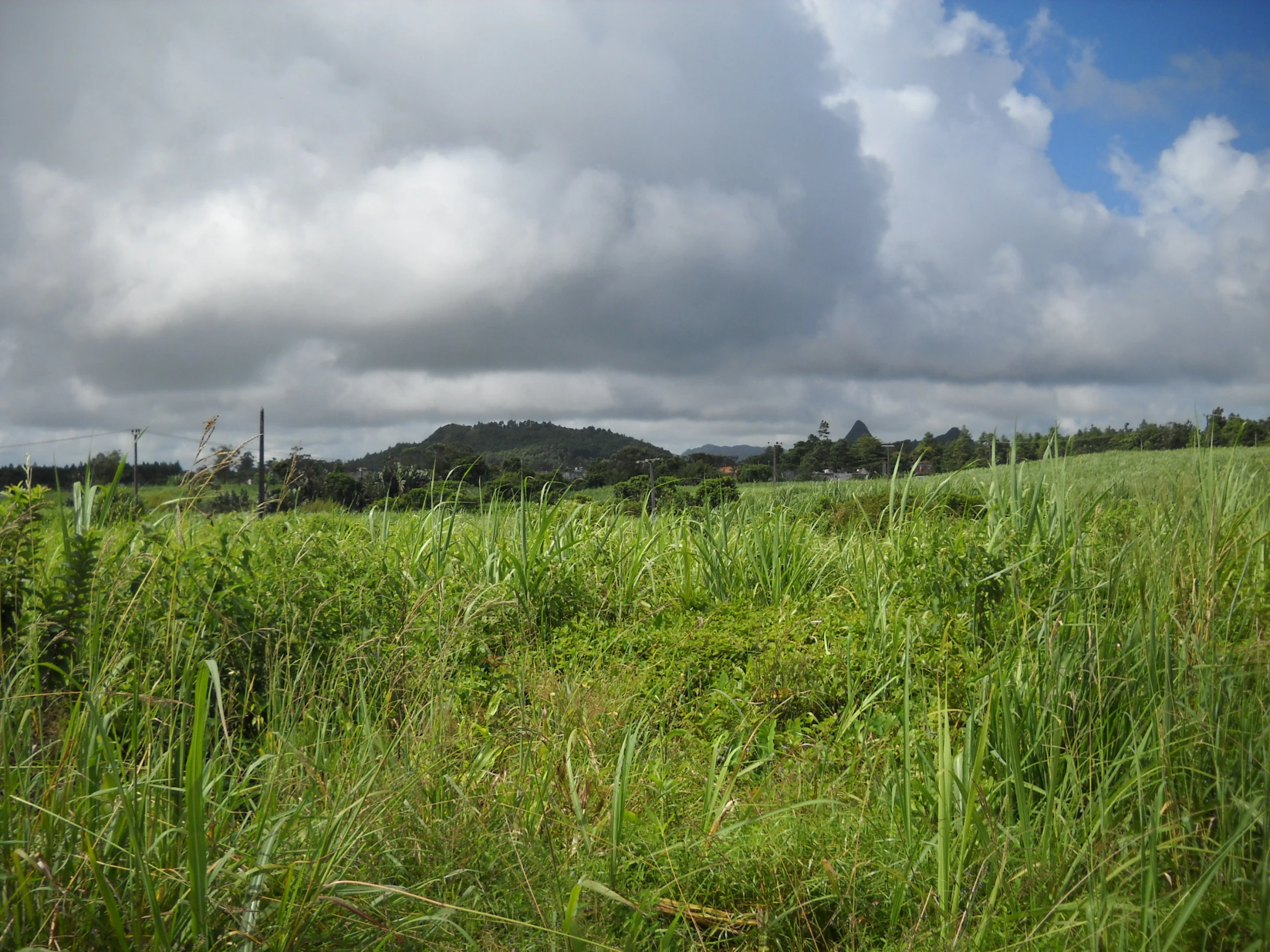 an area with grassy fields, mountain and clouds