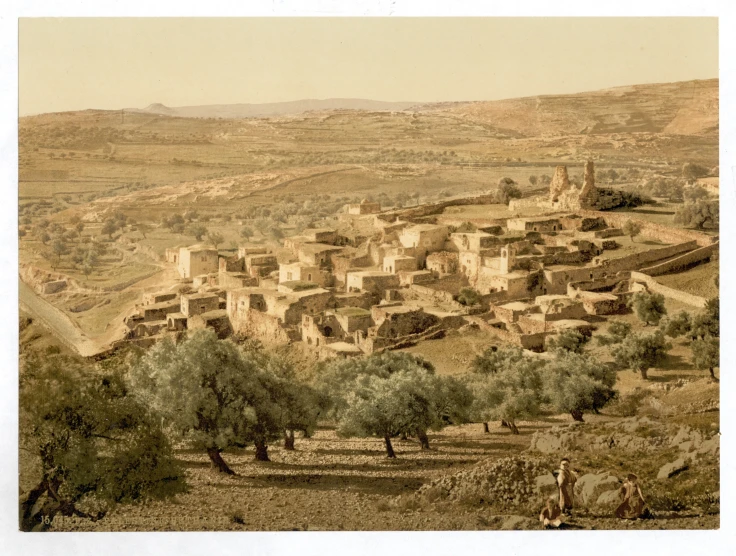 the desert town of fez, is built high above the trees