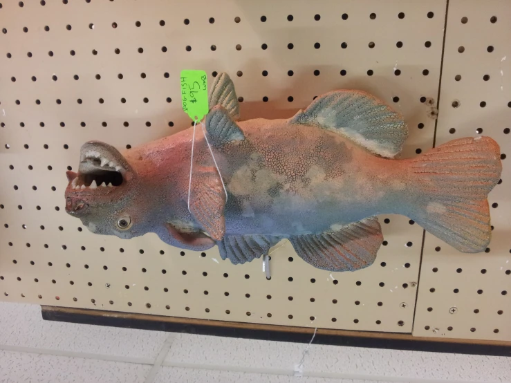 a stuffed fish on a display case with an tags