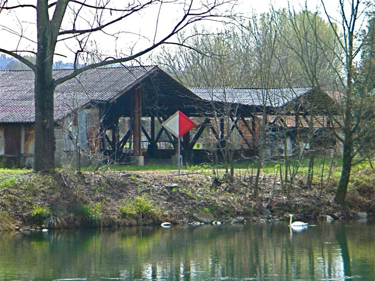 several white birds swimming near a building on the water