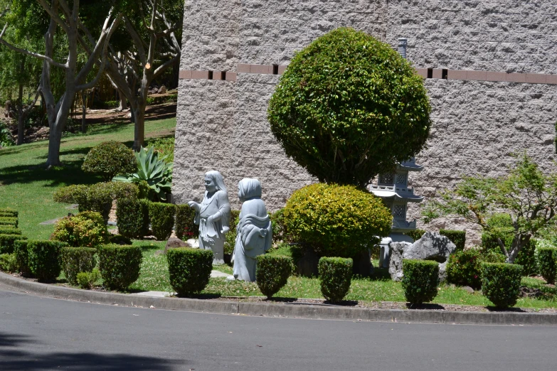 many small bushes on the grass near a large building