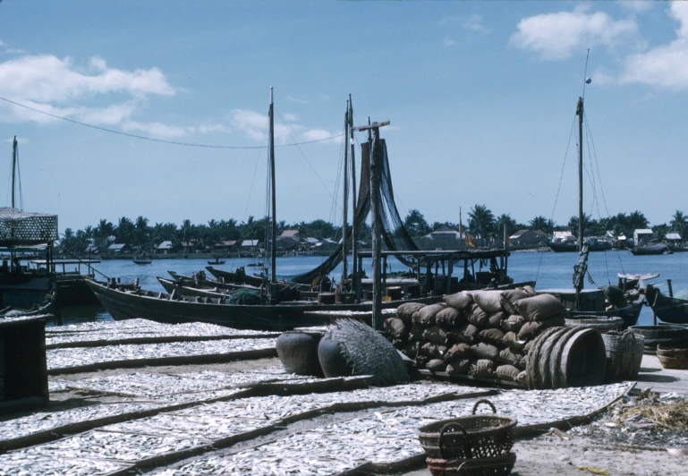 boats tied up to posts and poles next to the water