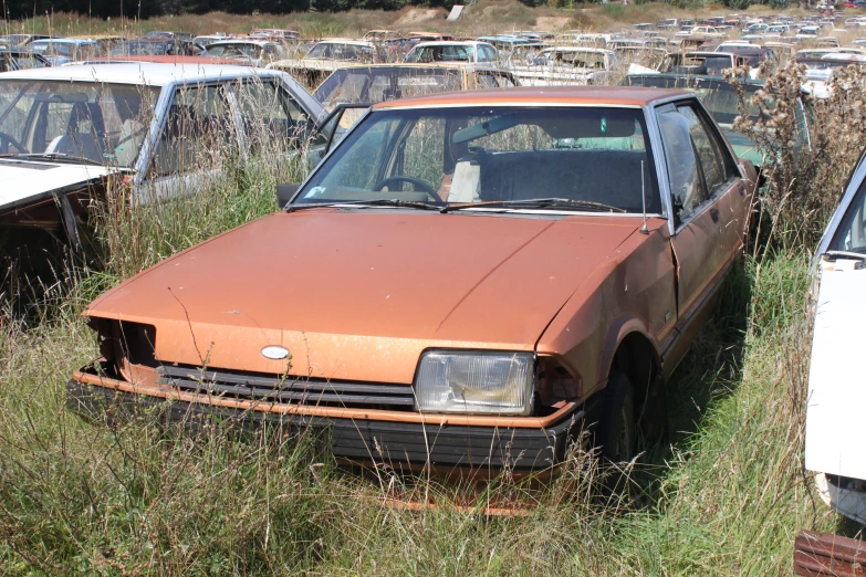 old rusty, abandoned cars in a field of weeds