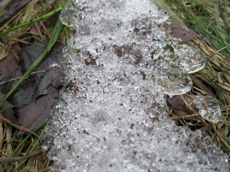 small pieces of ice sitting on top of grass