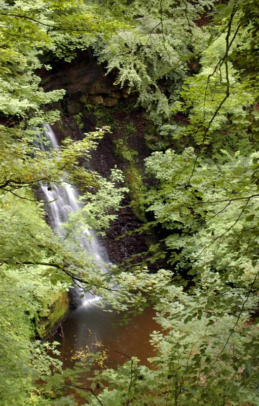 waterfall in a forest, seen through the trees