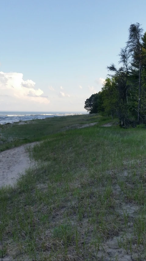 an open grassy field with some trees near the water