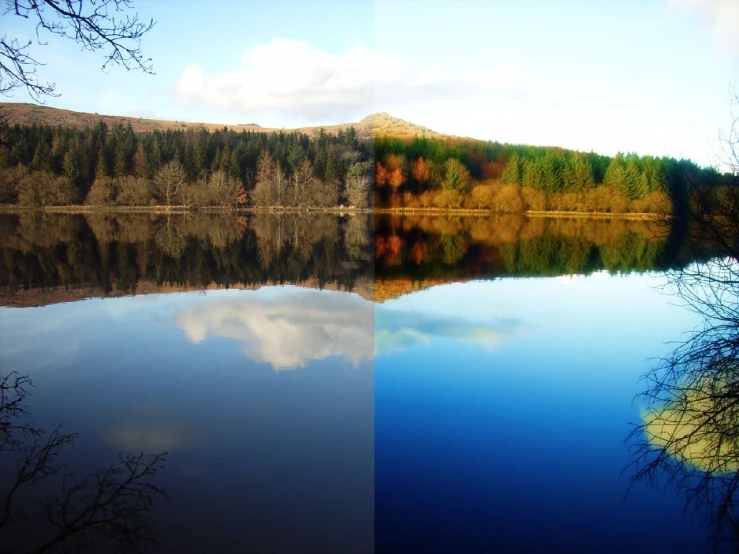 two pos of trees and the same lake