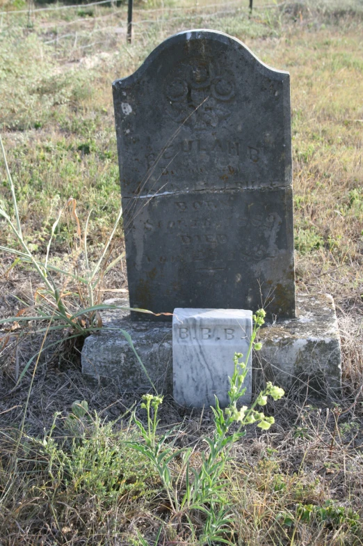 grave in the middle of a grassy field