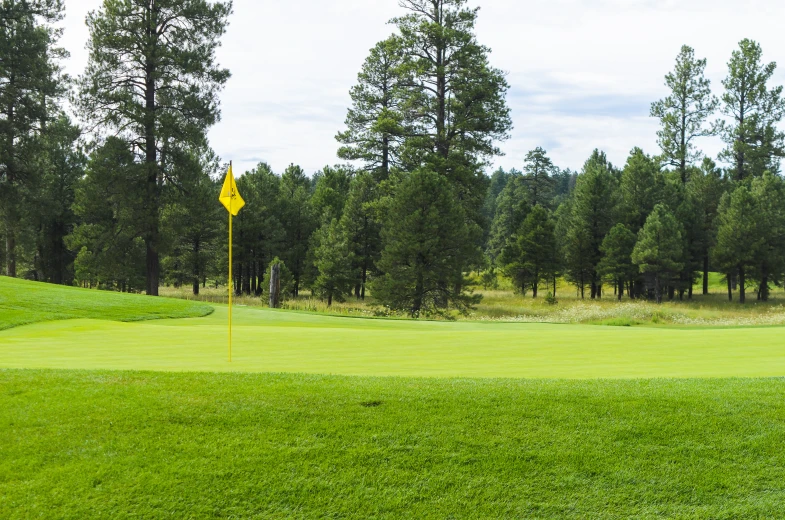 there is a sign near the hole of the golf course