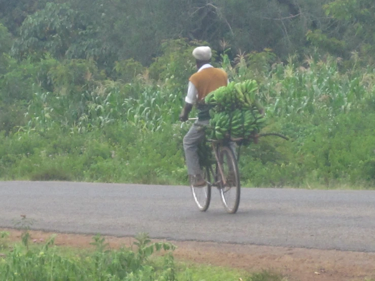 a man rides a bicycle carrying bananas down the road