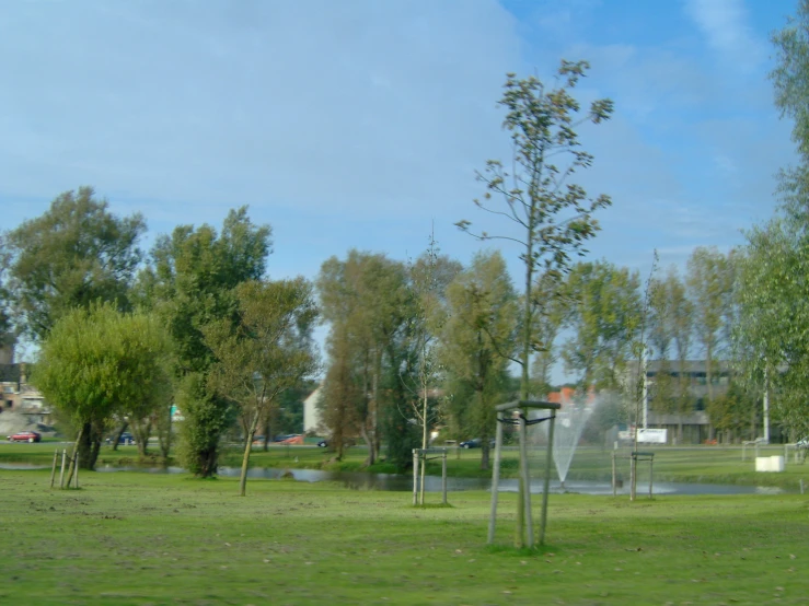 the park has grass, trees and a fountain