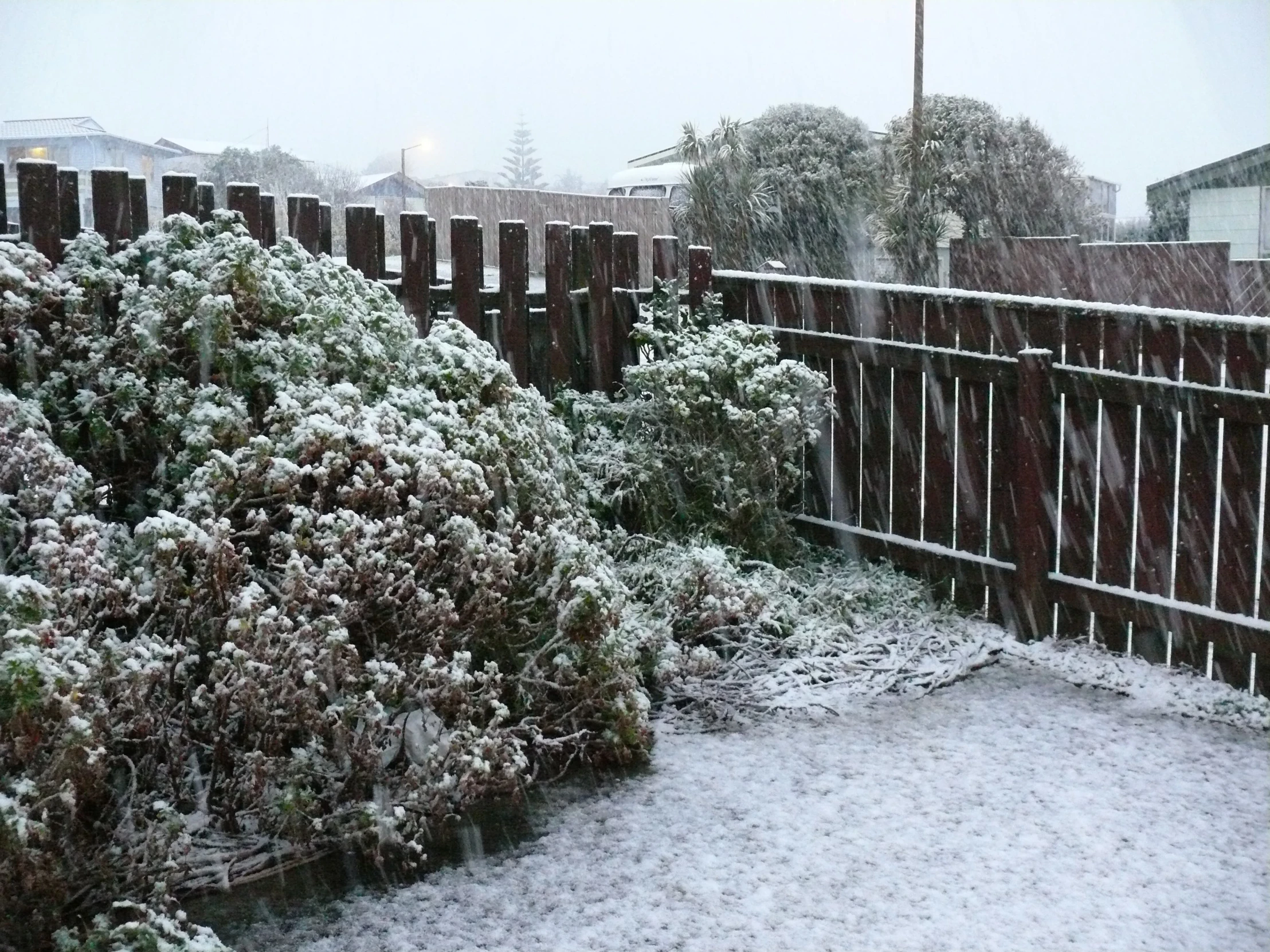 the bushes are covered in snow next to a wooden fence