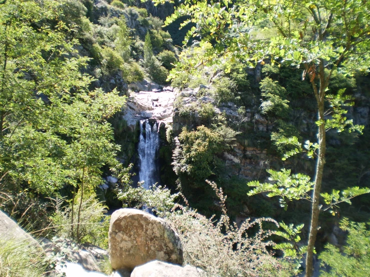 a waterfall is in the middle of a green area