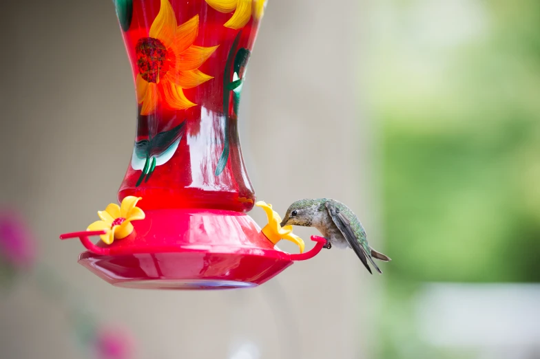 a hummingbird perches on a glass bird feeder