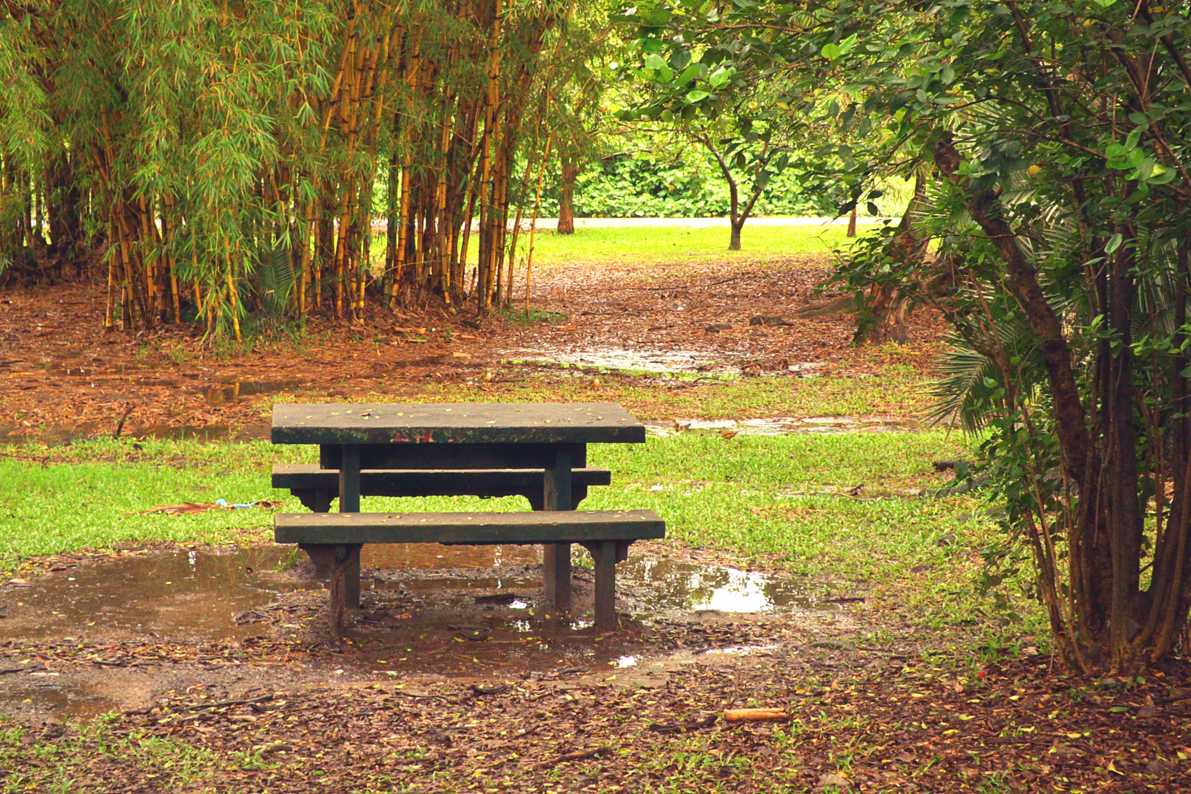an empty park bench with trees near it