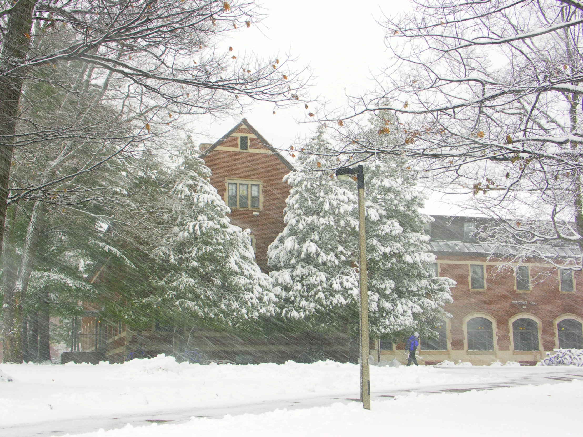 a street light sitting in the middle of a snowy field