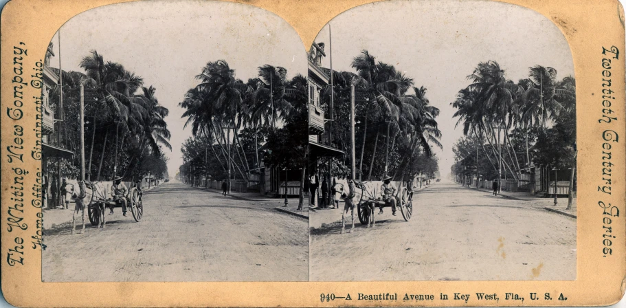 two pictures of horses drawn wagons on a road