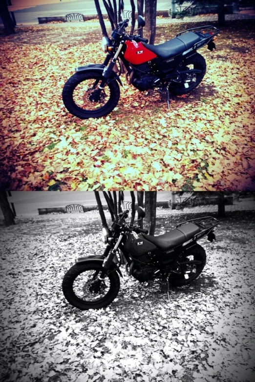 two pictures of motorcycle and tree in autumn leaves