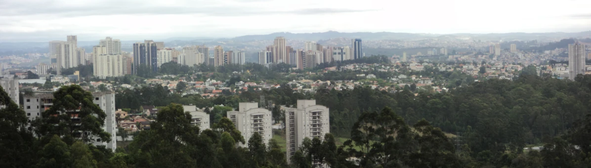 a view of some buildings and a forest in the foreground