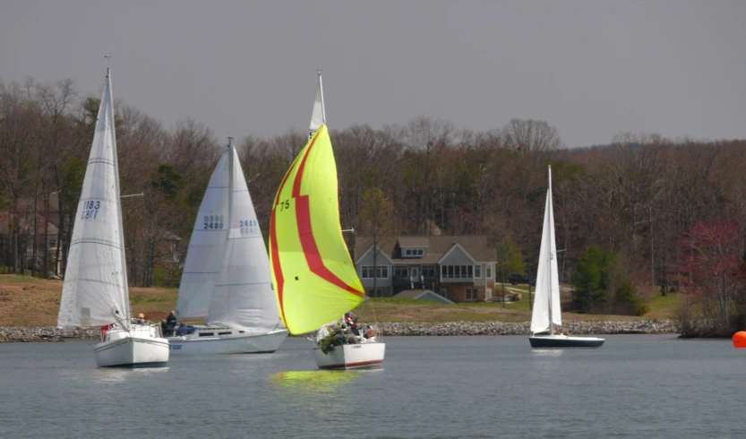 a group of sail boats sailing across a lake