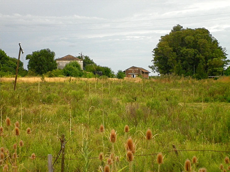 a house in a field behind a wire fence