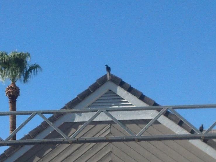 a small bird sits on a metal fence