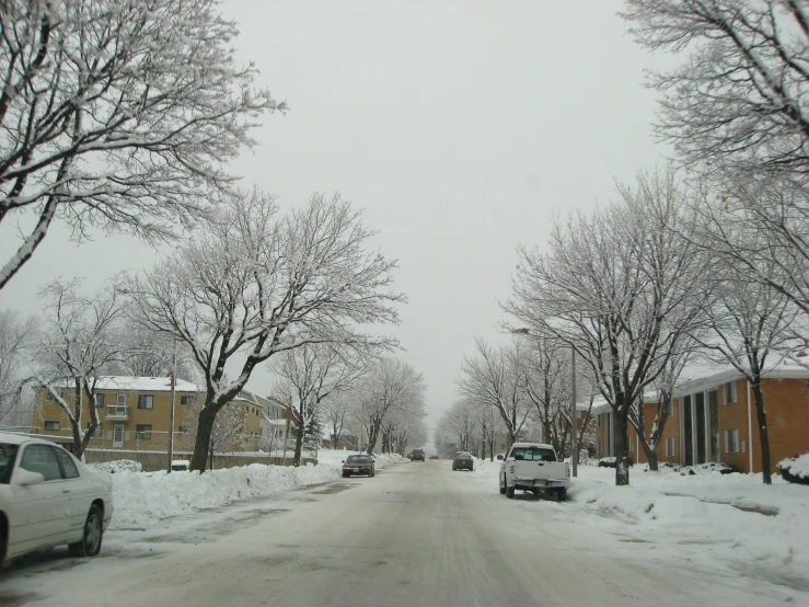 a street filled with lots of snow covered trees