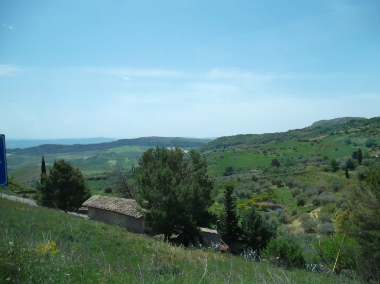 a rural green landscape with trees, grass and hills