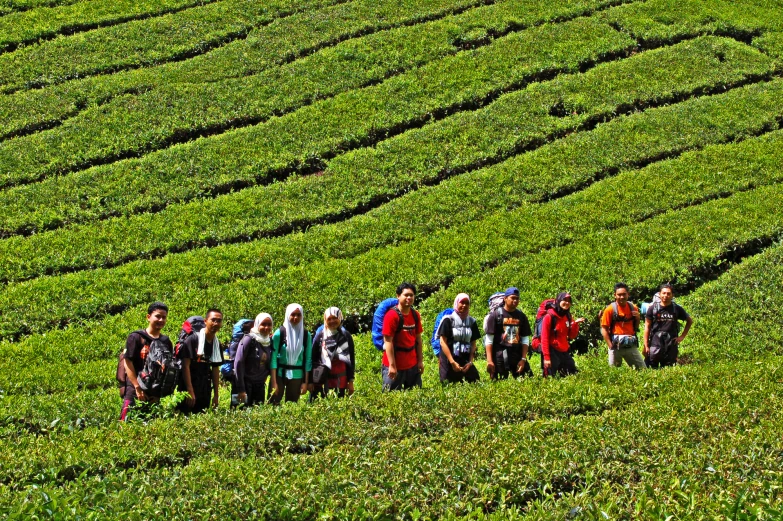 a group of people standing in front of some rows of crops