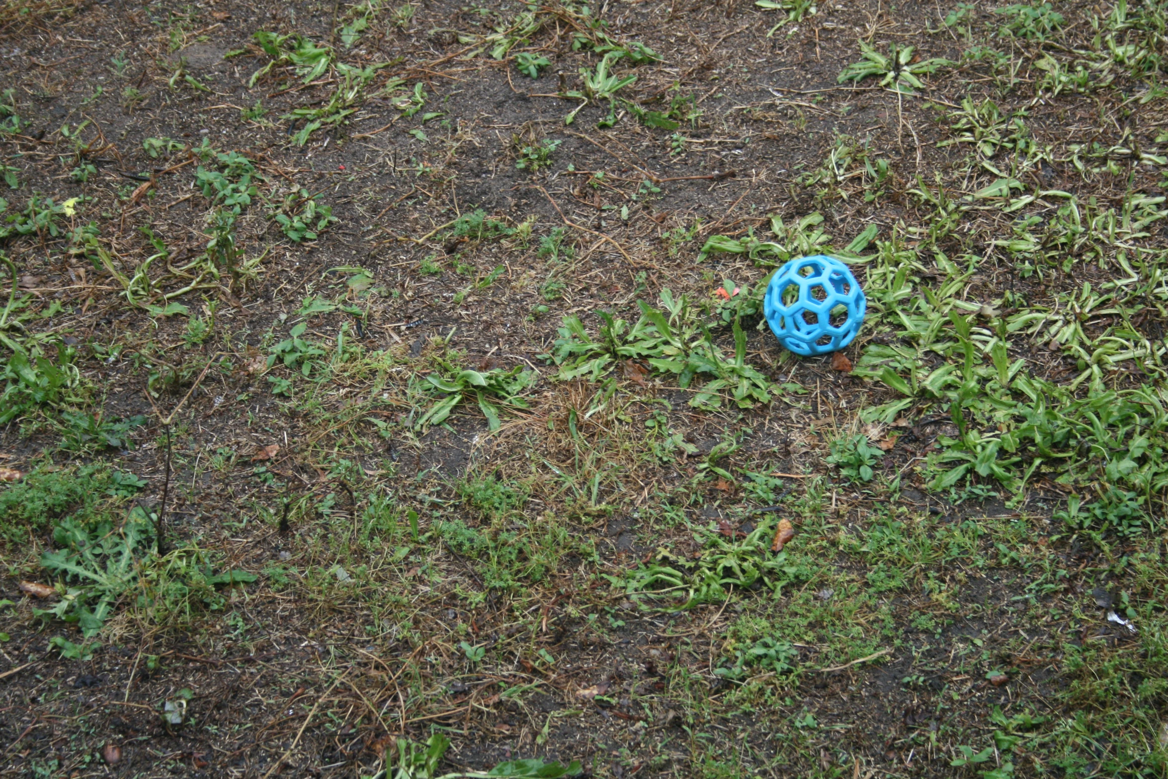 the blue ball is laying on the ground