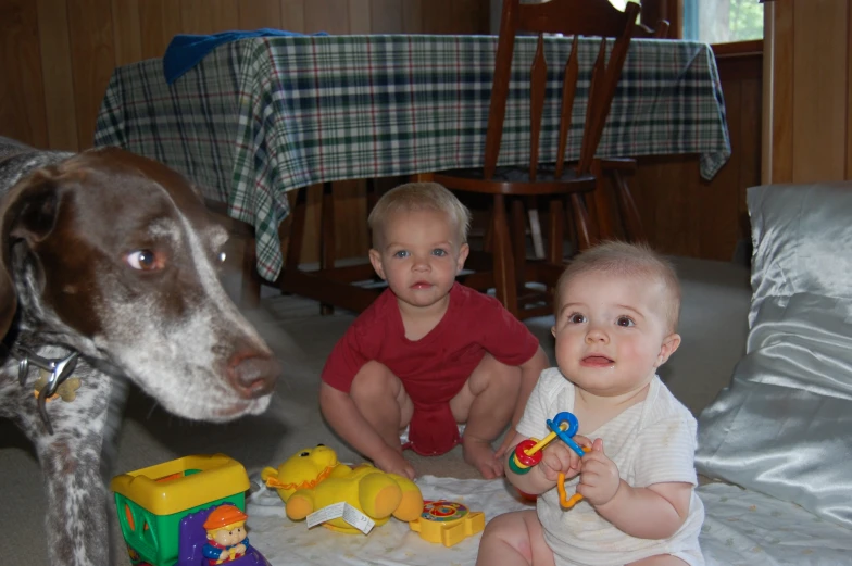 two small children sit on the floor near a dog