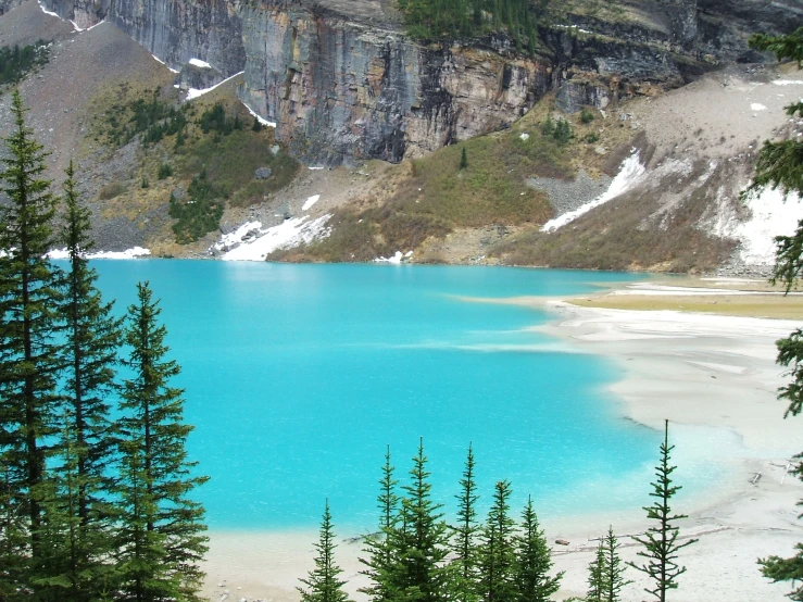 a lake with water blue and surrounded by pine trees