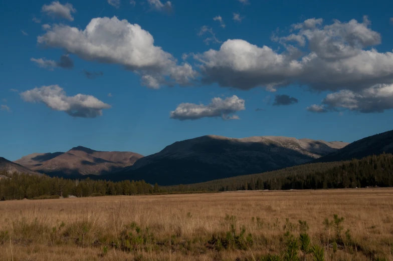 a large brown field with mountains in the distance