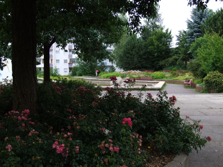 a lush green park next to a small tree