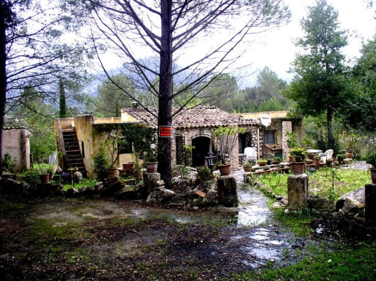 a small and muddy, overgrown, ruined house sits next to trees