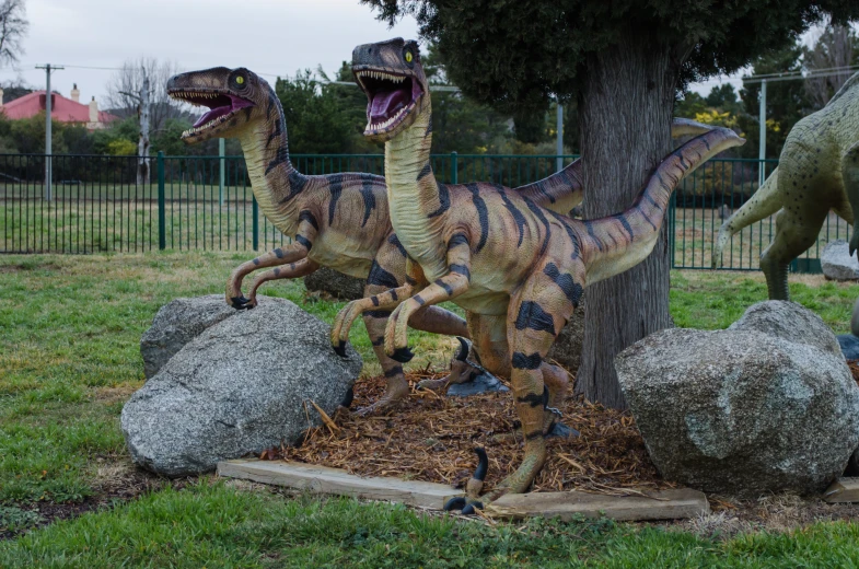 the dinosaurs are in the grass near the rocks