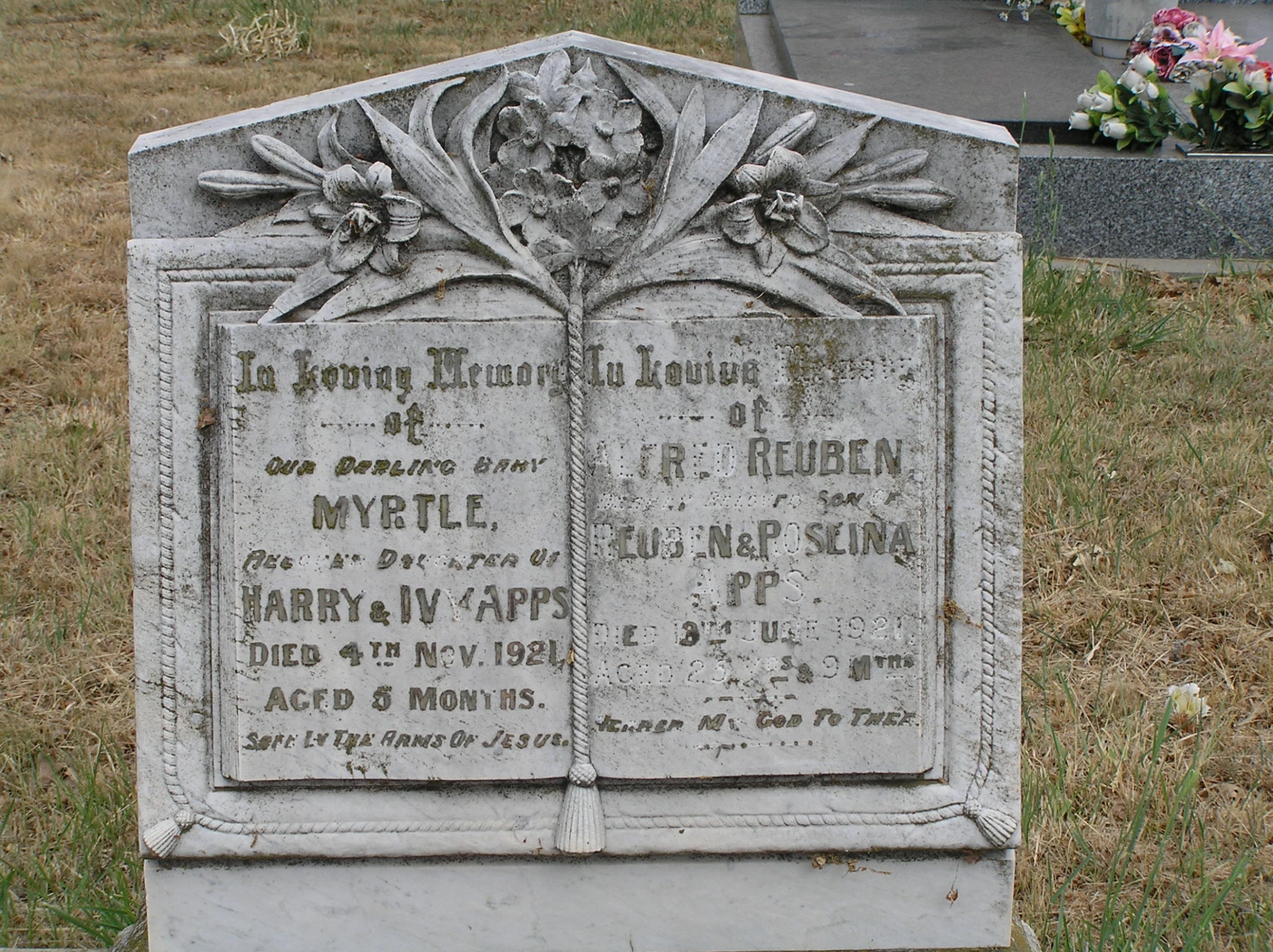 two tombstones sitting in the grass next to each other