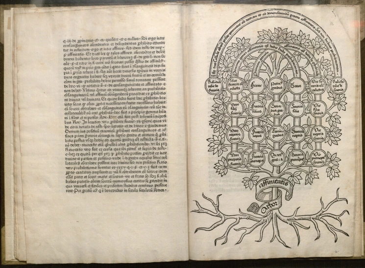 an antique book with a diagram of the tree