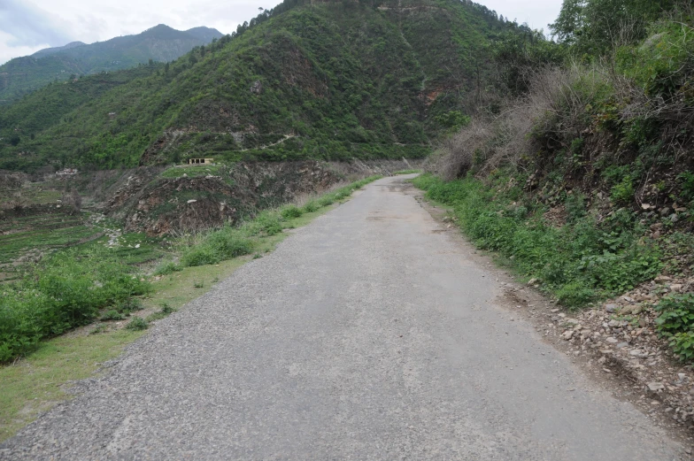 a hill side with grass, shrubs and a road next to it