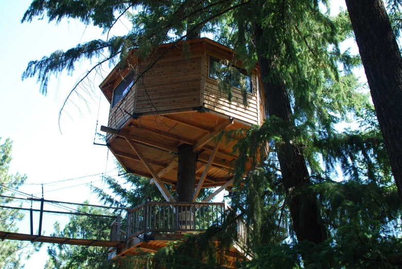 a tall wooden tower with a suspended walkway under trees