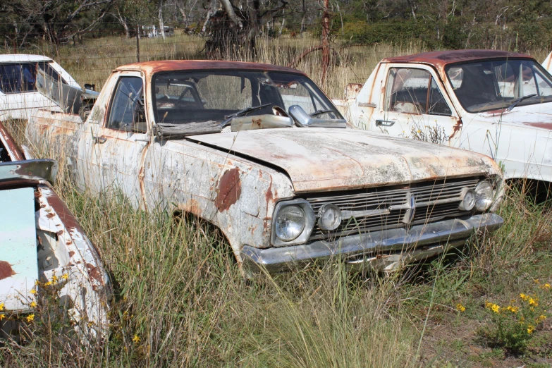 a group of old rusted cars in a field