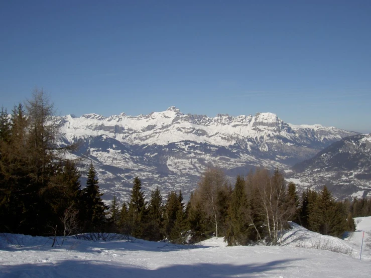 snow capped mountains with trees on both sides