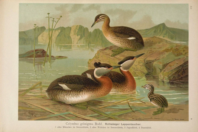 a painting of three ducks and two smaller birds