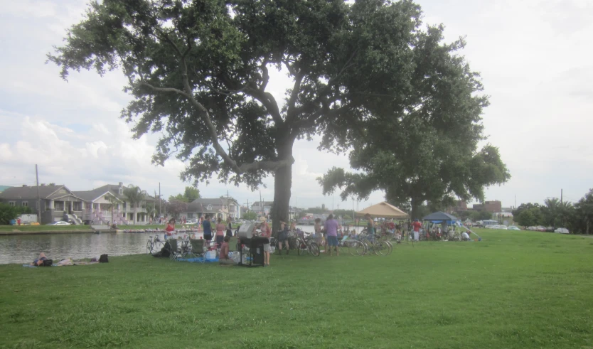 people standing in a field next to a pond