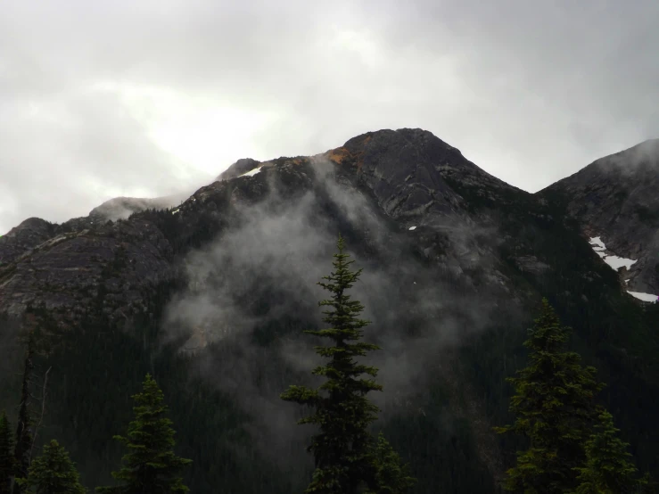 a mountain covered in lots of fog with trees